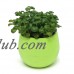 Micelec Cute Succulent Plants Flower Pot Saucer Tray Planter Home Desk Garden Decor   